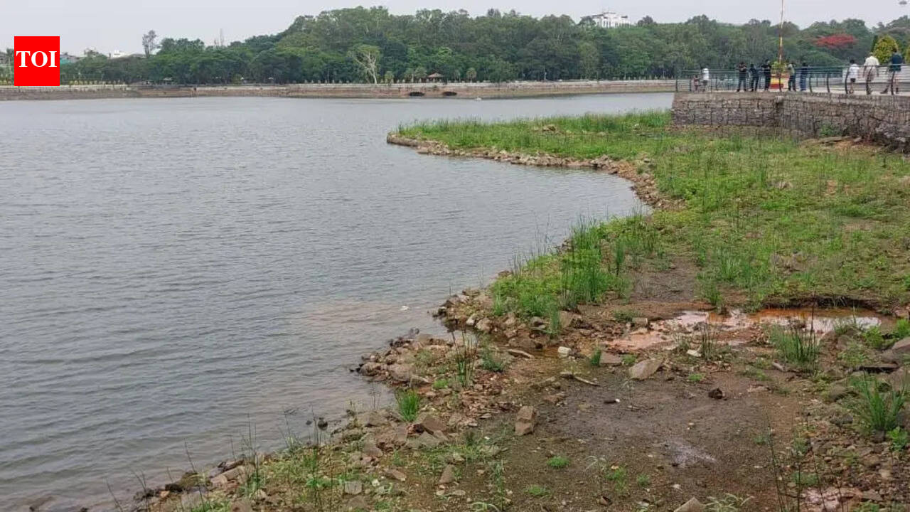 Residents rally as sewage &amp; concrete choke Sankey Tank in Bengaluru