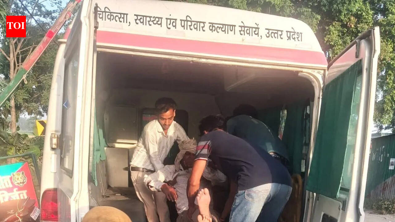5yo among 4 hurt in car-truck collision in Pilibhit