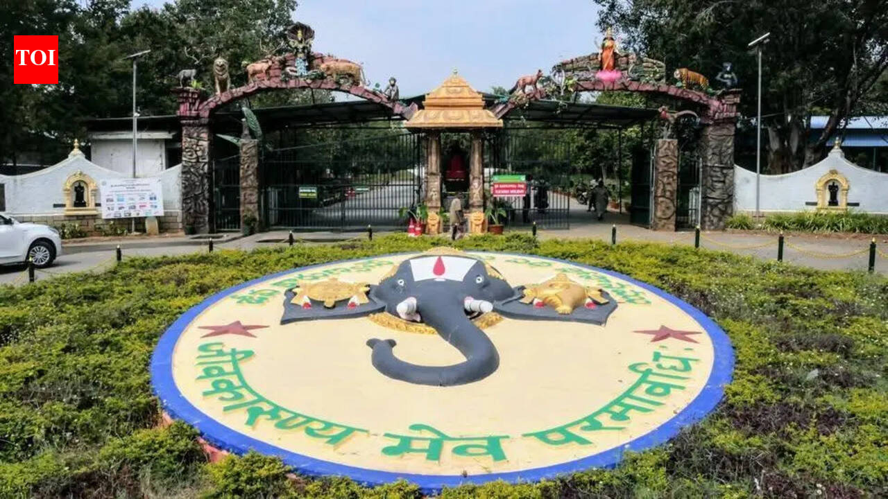Encroachments clearance at Alipiri-Zoo park road triggers row between TDP and YSRCP