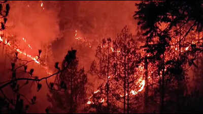 Forest fires scorch 318 hectares in Uttarakhand this season