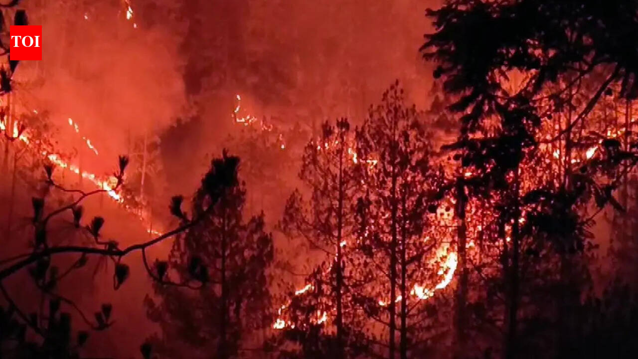 Forest fires scorch 318 hectares in Uttarakhand this season