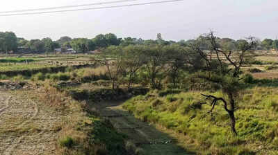 Govt to revitalize Kilanhai River in Kaushambi