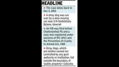 HC quashes animal cruelty case over stray dog accident