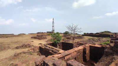 Kalanandigad built by Chhatrapati Shivaji Maharaj gets ‘state-protected monument’ tag