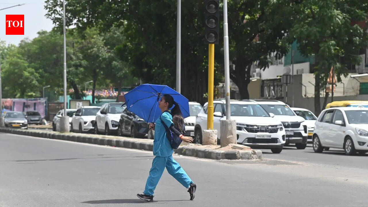 Light rain, thunderstorm may cool simmering Tricity soon