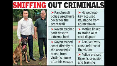 Raven Sniffs Killer’s Trail, Cops Solve Murder In 2 Hrs