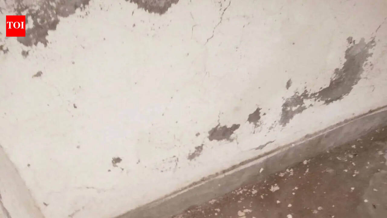 Decade after facelift, Sardar Patel’s school faces neglect