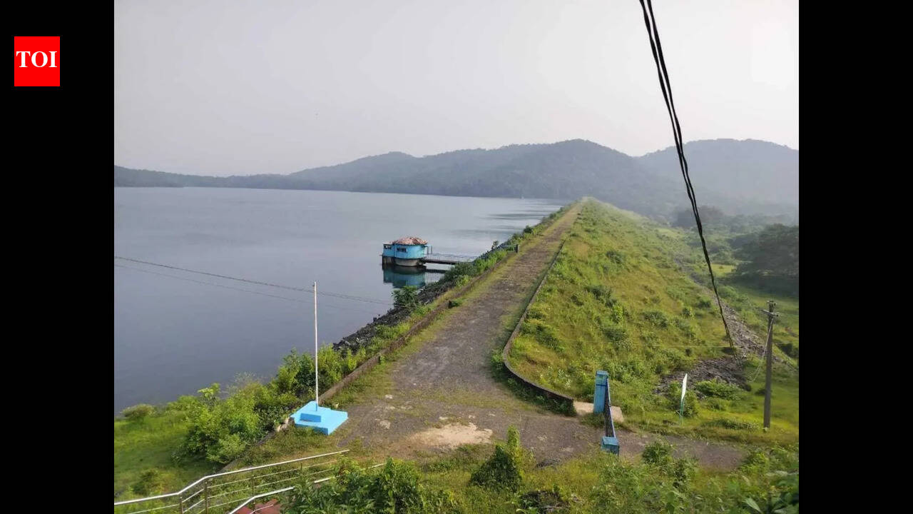 Water levels in reservoirs remain low despite pre-monsoon showers
