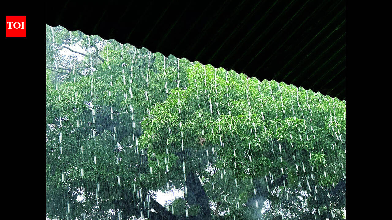Highest single-day rainfall of season, yellow alert for today