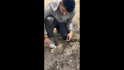 Volunteers revive heat-struck, dehydrated snake in Kondhwa’s urban forest with sips from water bottle