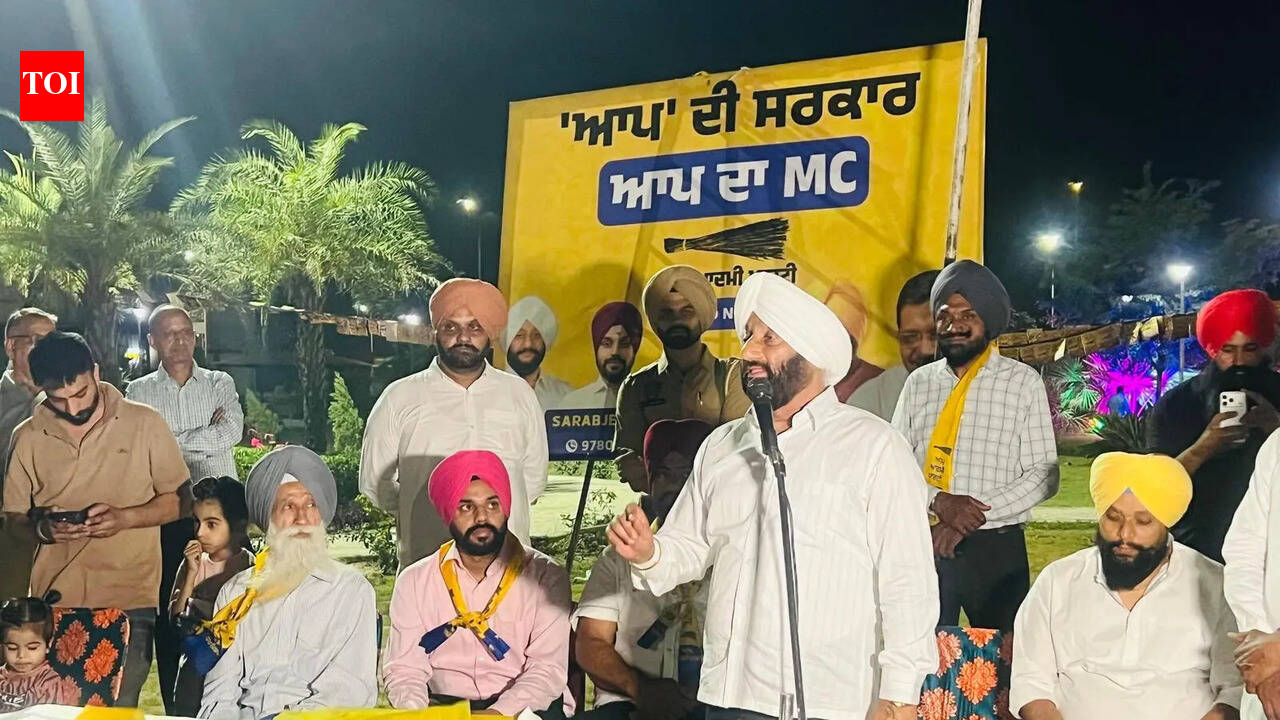 AAP govt delivering pro-people schemes: Mohali MLA