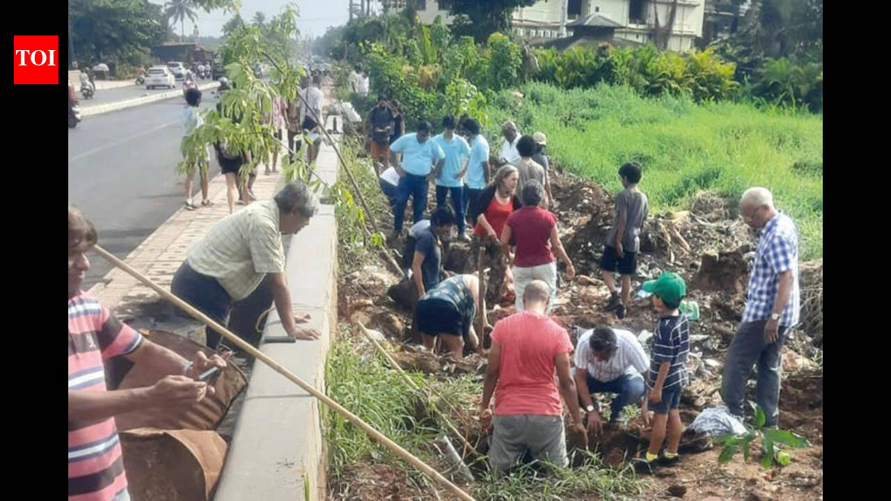 Green initiative: Over 100 volunteers plant 68 trees in Mapusa after road widening felling