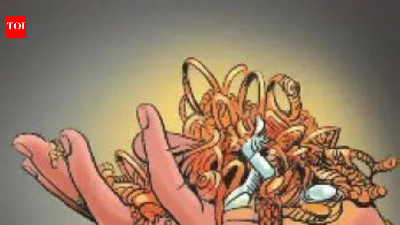 Unverified domestic worker drugs woman in housing society, steals jewellery
