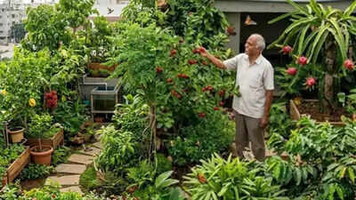 From cherries to dragon fruit: How a retired Bengaluru techie built a 600-sq-ft rooftop forest that attracts birds and cleans the air
