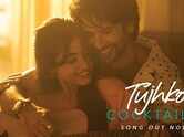Cocktail 2 | Song - Tujhko