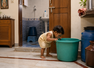 1-year-old dies after falling into water bucket: Safety precautions one must take at home