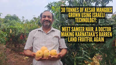 30 tonnes of Kesar mangoes grown using Israeli technology: Meet Sameer Nair, a doctor making Karnataka's barren land fruitful again with organic farming