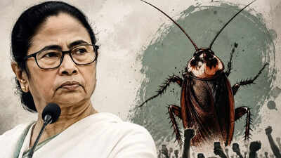 'Full support for cockroaches': Mamata Banerjee 'expressed fondness' for CJP