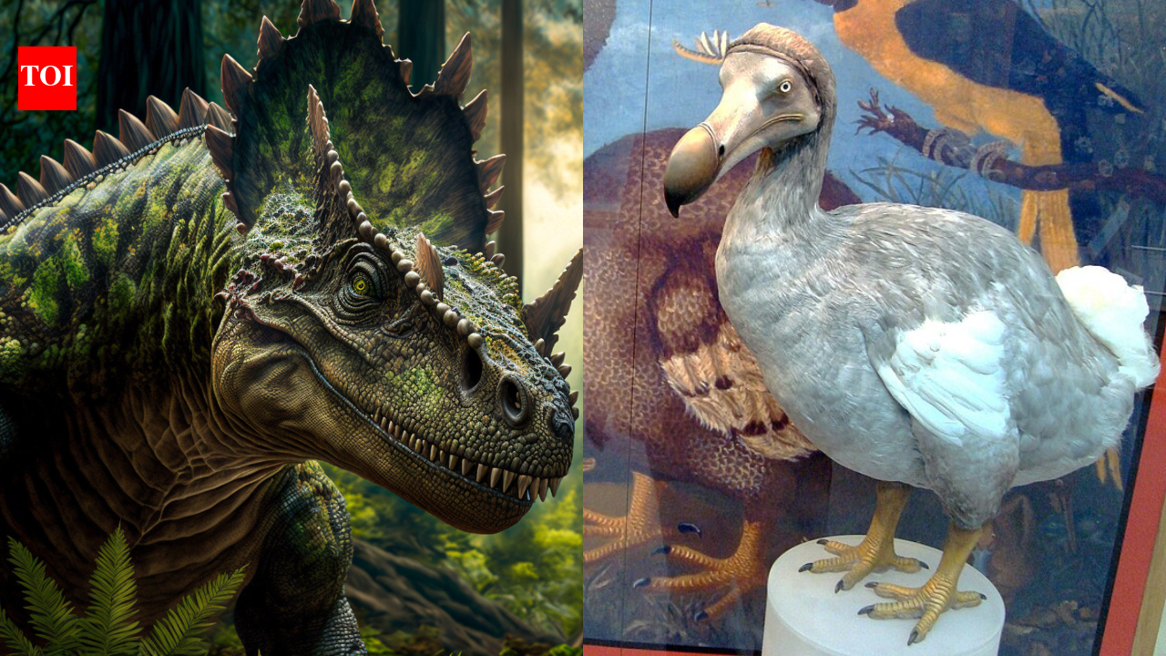 Why are humans obsessed with bringing back Dinosaurs: Exploring de-extinction