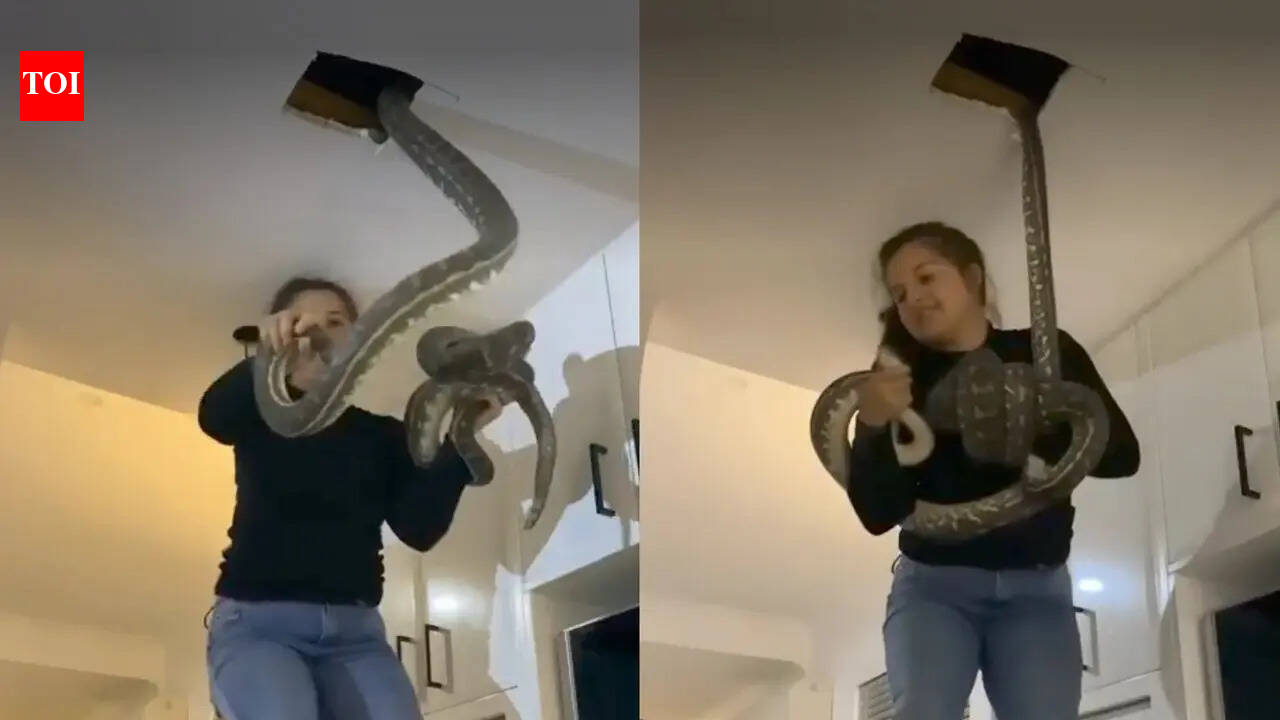 Australian woman finds two giant pythons in ceiling; video goes viral
