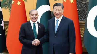 'Unbreakable traditional friendship': Xi Jinping welcomes 'old friend' Pakistan PM Shehbaz Sharif