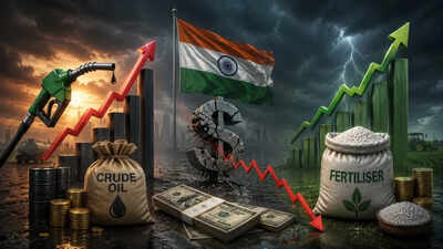 ‘Fuel, Fertilizer, Forex’: Nirmala Sitharaman Sounds Alarm, Says Govt May Lose Rs 1 Lakh Cr Revenue
