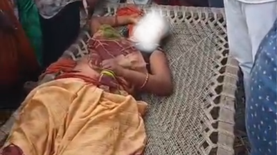 Woman killed in tiger attack while collecting firewood near forest in UP's Bahraich