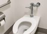 Why public toilet seats have gaps in them and why U-shaped toilet seats exist: What travellers should know