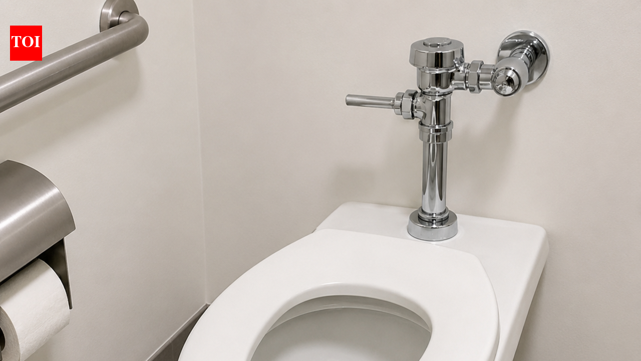 Why public toilet seats have gaps in them and why U-shaped toilet seats exist: What travellers should know