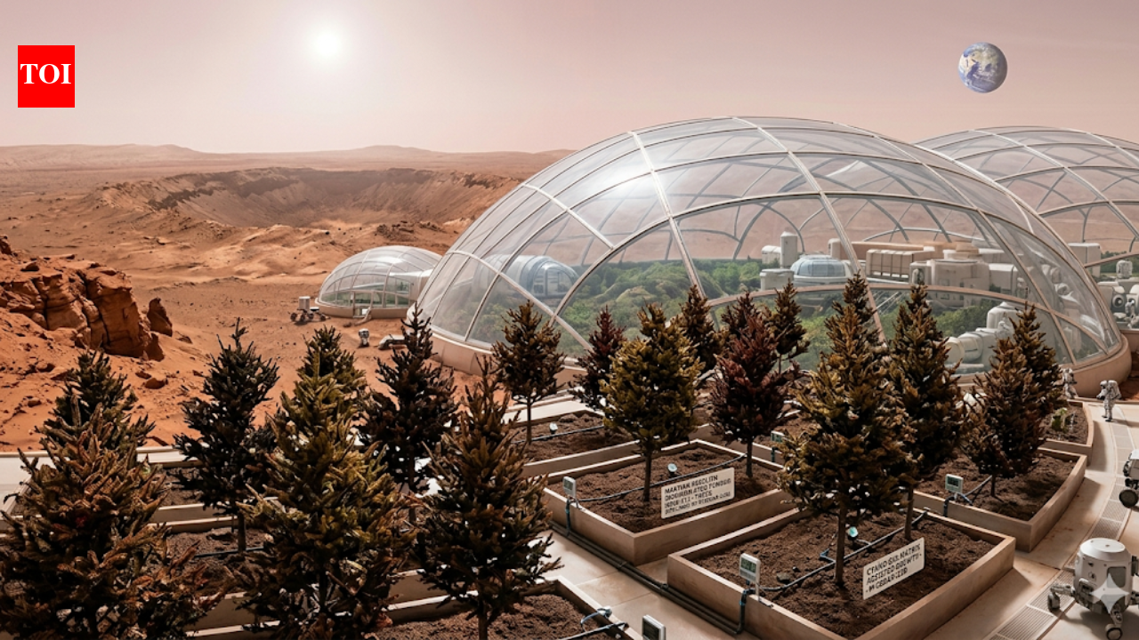 Could this fungus turn Mars into farmland? Scientists say it might make Martian soil fertile