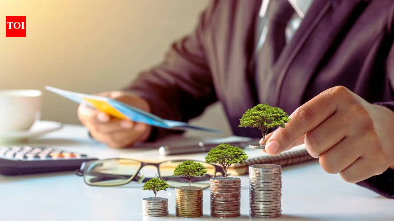 Is this the best time to buy a home? Expert shares reasons property might be more affordable in 2026