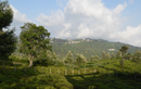 Kotagiri, Tamil Nadu