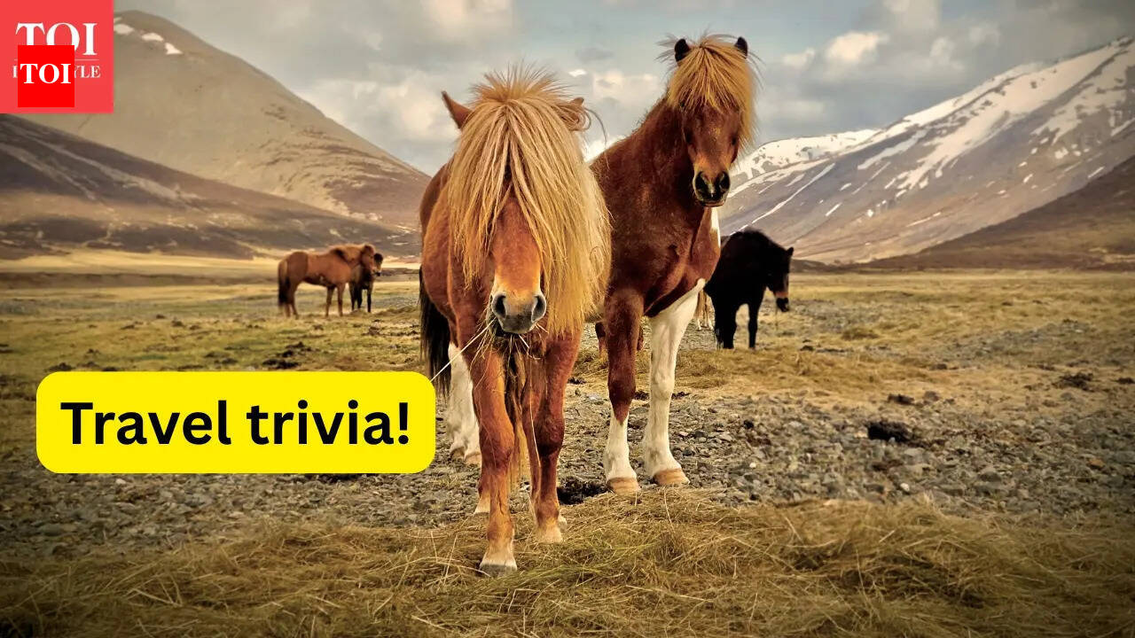 Travel trivia: 10 countries famous for what they don’t have