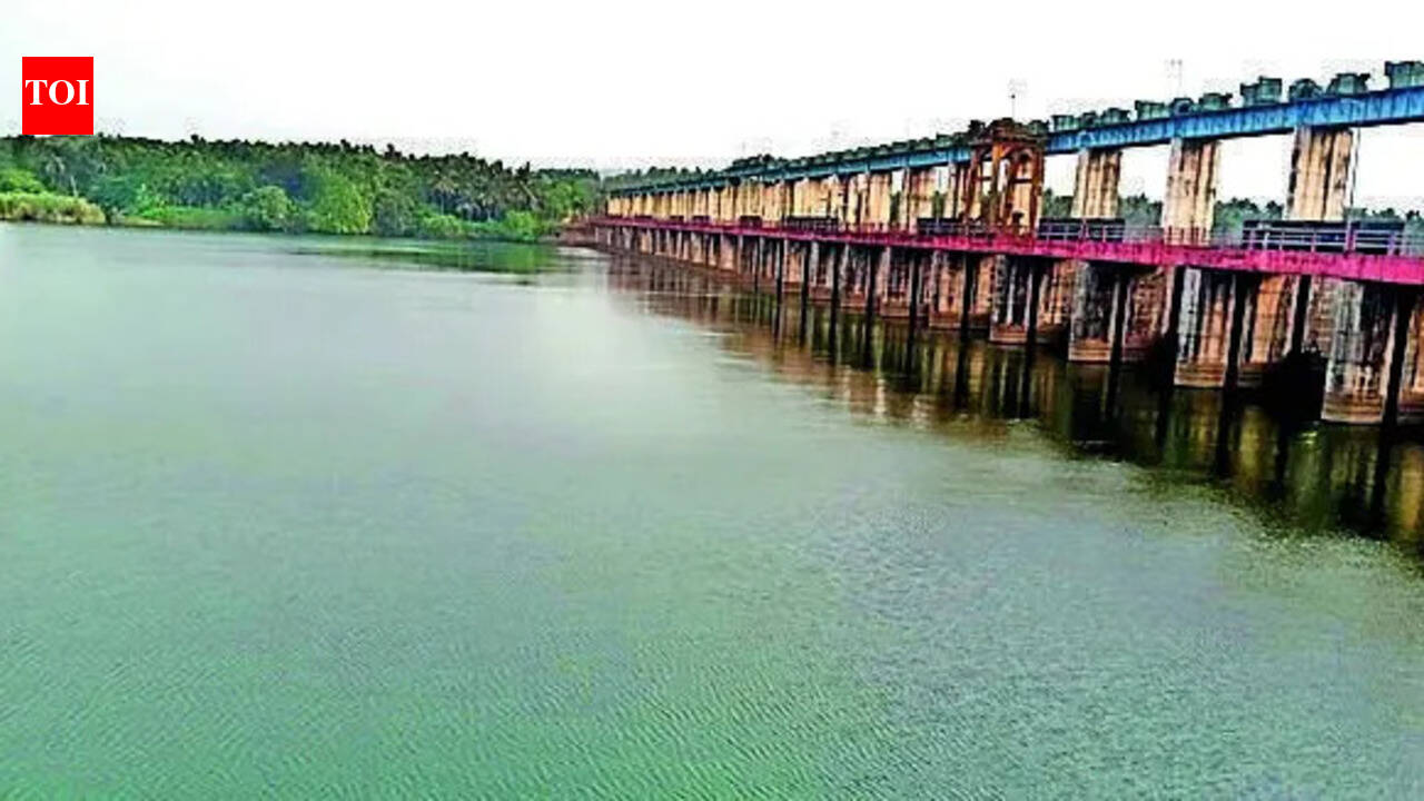 Malankara Dam water level to be lowered for emergency repairs; riverside residents alerted
