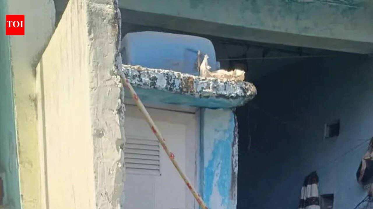 Ahmedabad’s new reality: Dengue not a seasonal outbreak, but a permanent threat