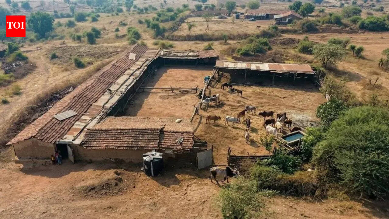 Gujarat forest dept’s orders clash over Gir re-entry for Maldharis