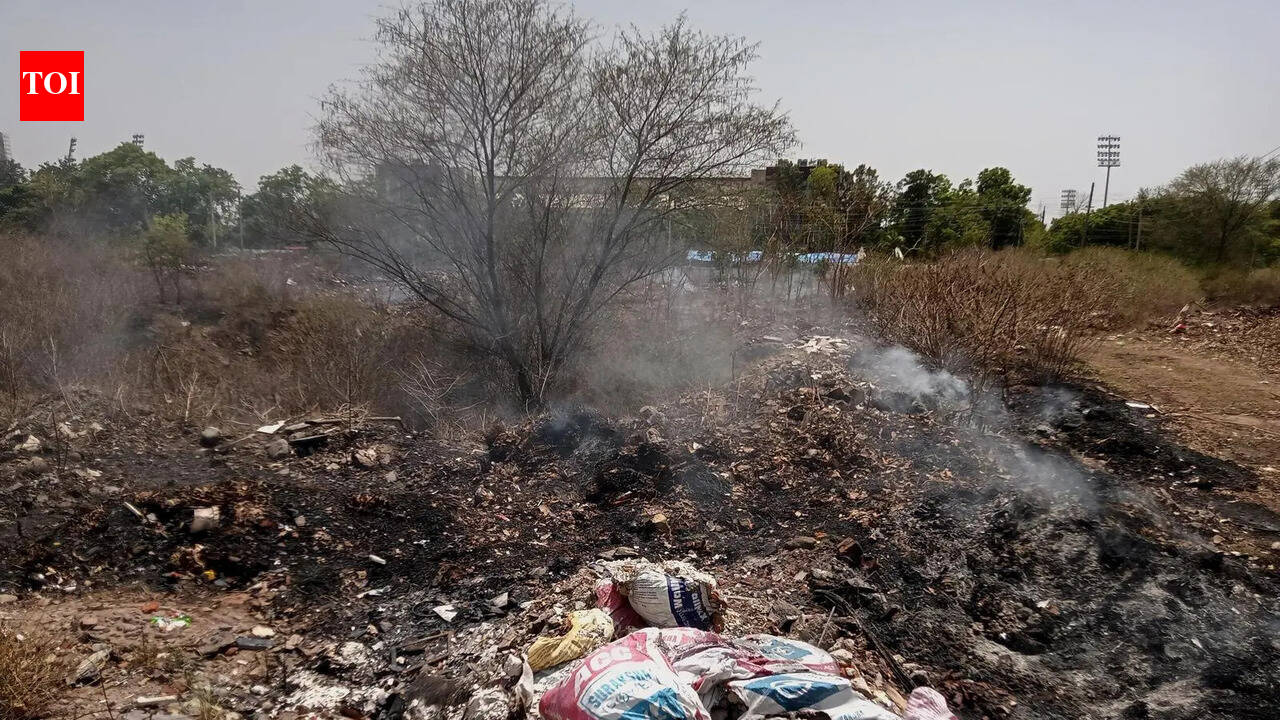 Garbage dump fires spark concern among Panchkula residents