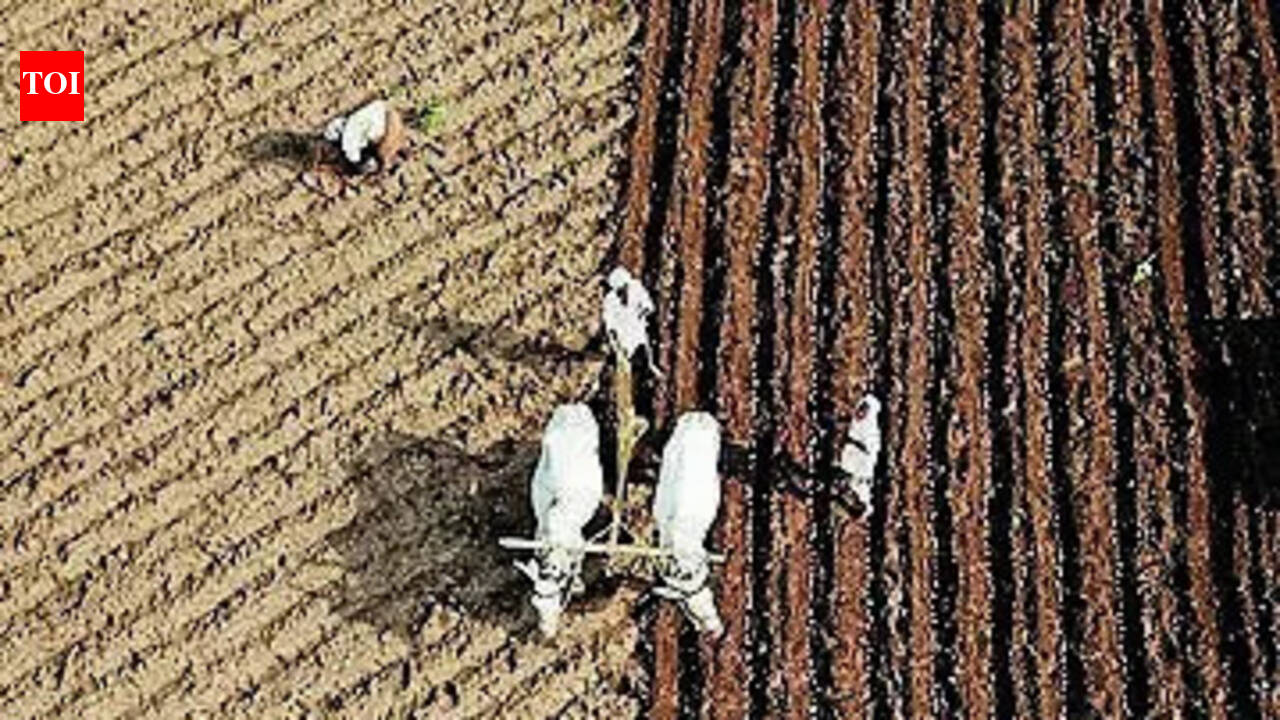Diesel crunch &amp; price hike push Marathwada farmers to brink as mechanised farming costs surge
