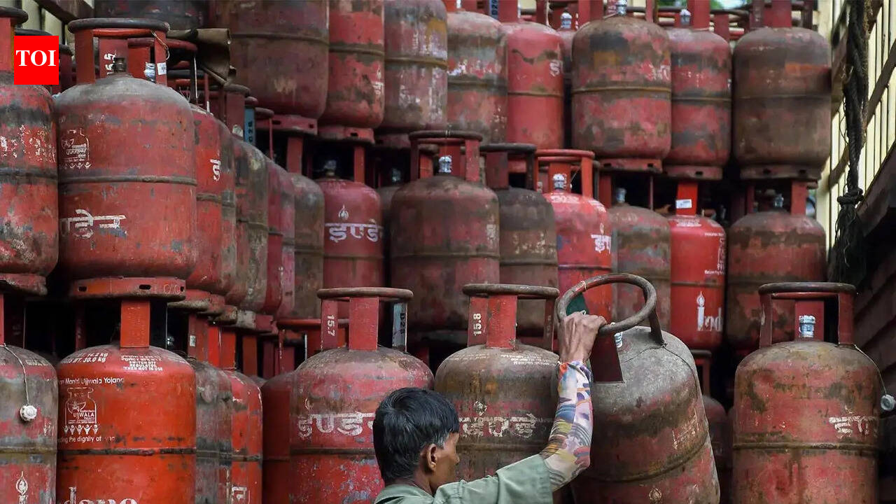 India has 78 days of crude stock, no shortage of LPG: Govt to parliament panel