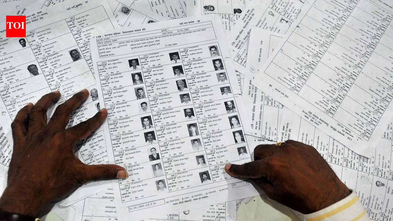 Door-to-door verification of 91L electors by BLOs  from June 30