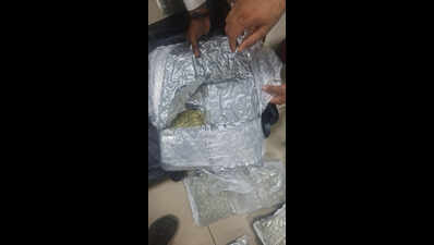Indore duo posing as couple held at Varanasi airport with hydroponic weed worth Rs 6.93 crore