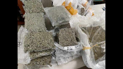 Indore duo posing as couple held at Varanasi airport with hydroponic weed worth Rs 6.93 crore
