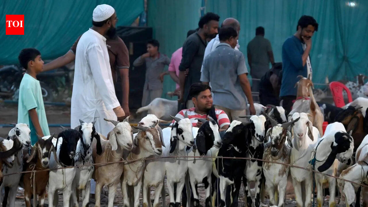 Goat markets packed as families shop for sacrifice ahead of Bakrid