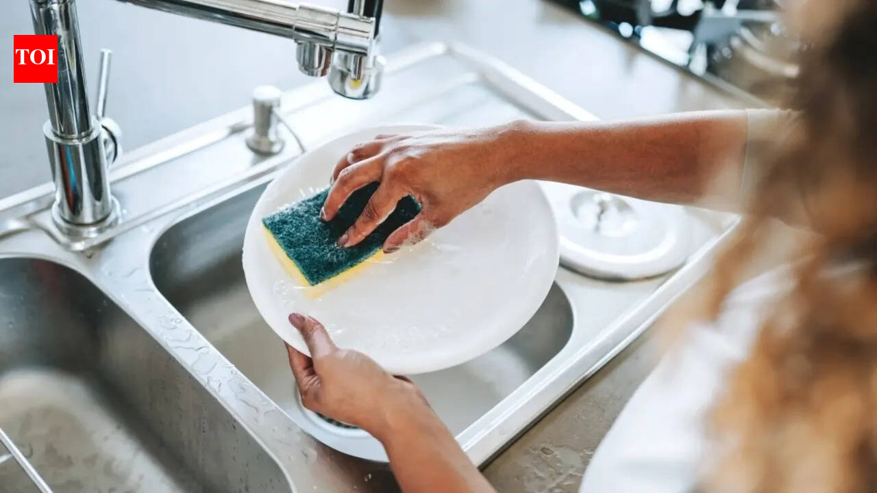 Your kitchen sink is dirtier than most toilets: doctor explains how to clean it properly