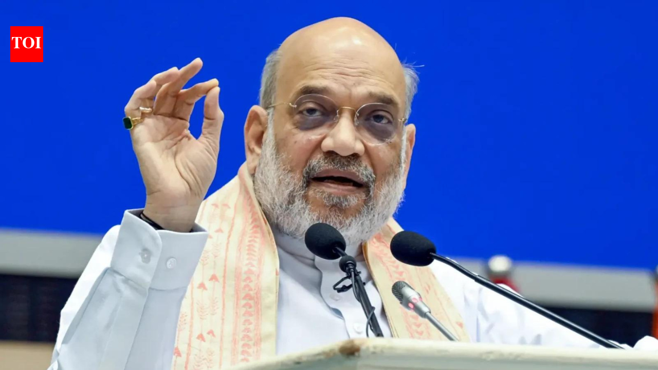'Infiltration a major challenge': Amit Shah says panel on 'unnatural demographic change' set up