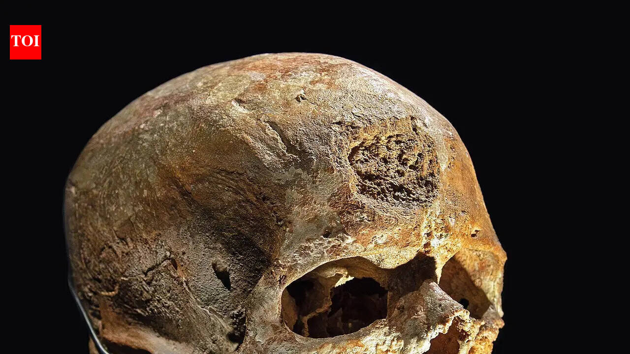 In 1868, a railway excavation in France exposed skeletons that changed what we know about Europe's first modern humans