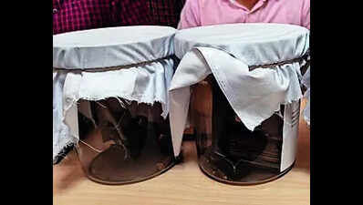 ANTF seizes 930g heroin, 12 pistols during Mohali raid; suspect on the run