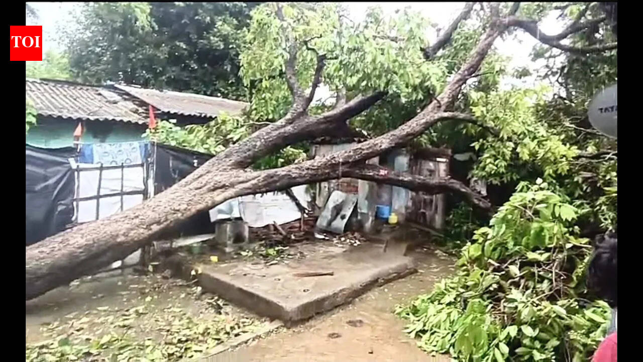 5 die as cyclonic storm batters Bhagalpur, cripples rail services