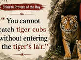 Chinese proverb of the day: &ldquo;You cannot catch tiger cubs without&hellip;&rdquo;