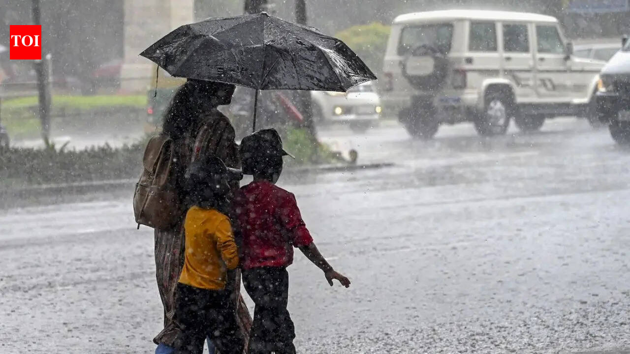 Bengaluru weather: IMD issues orange alert for very heavy rain in several Karnataka districts for next 3 hours